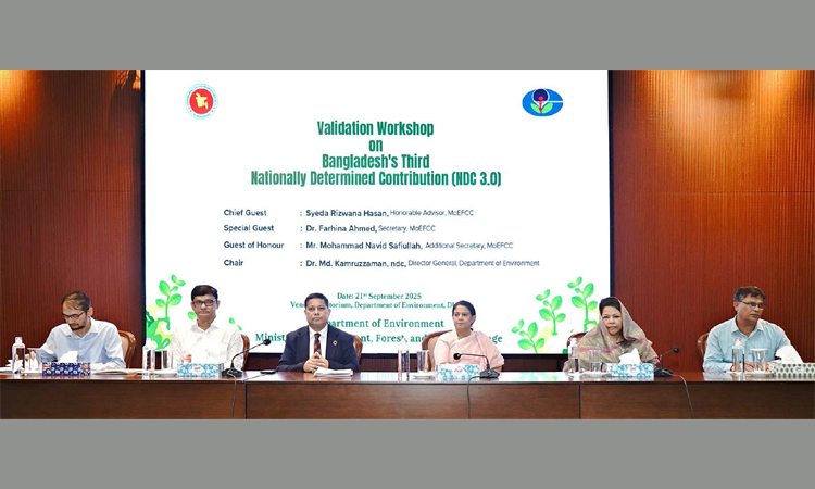 Bangladesh needs $116.8bn to cut 84.9m tonnes CO₂ eq: Rizwana