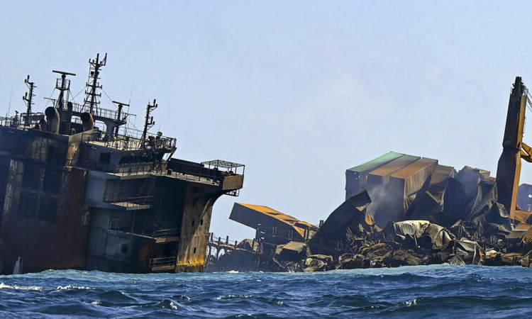 Singapore firm rejects $1bn Sri Lankan pollution damages | International