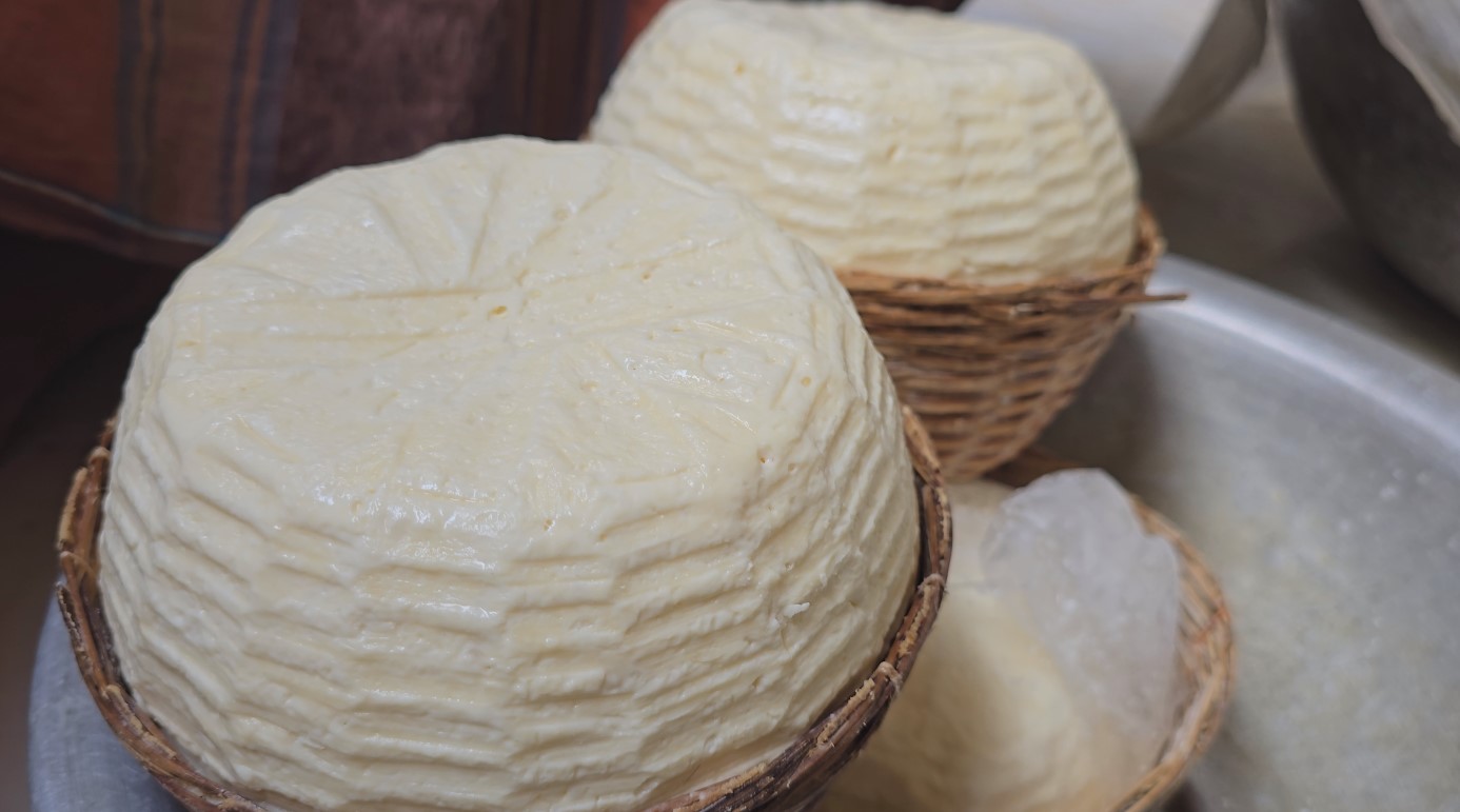 Astagram's Cheese: A taste of tradition, now a national treasure