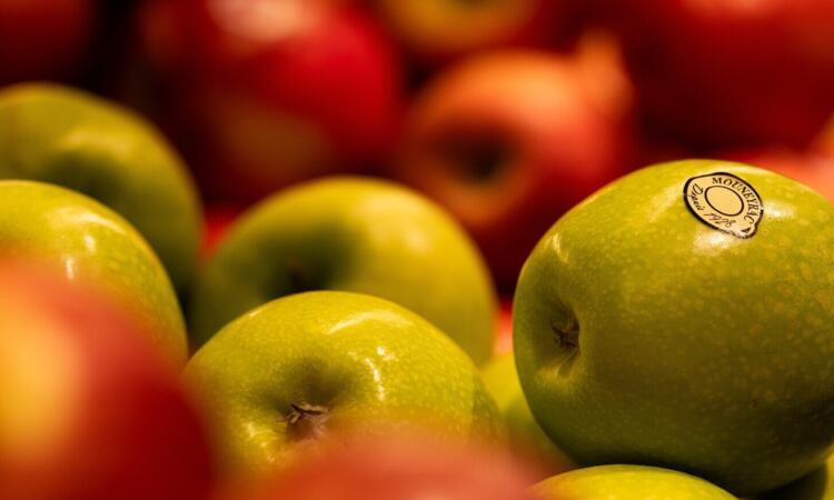 Journal retracts study linking apple cider vinegar to weight loss