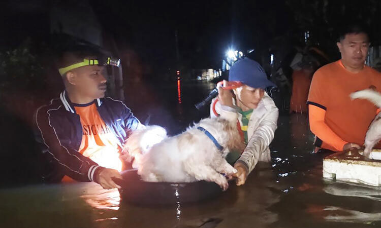 400,000 evacuated, 3 dead as fresh storm batters Philippines | International