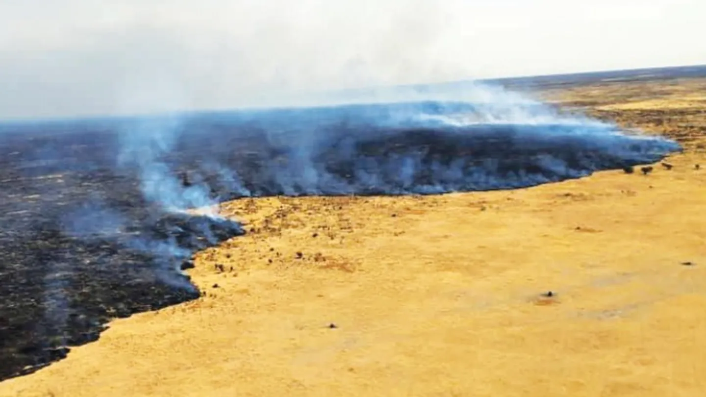 Namibia deploys hundreds of soldiers to fight Etosha fire
