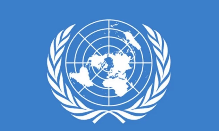 High-level UN meet on Rohingya situation Tuesday