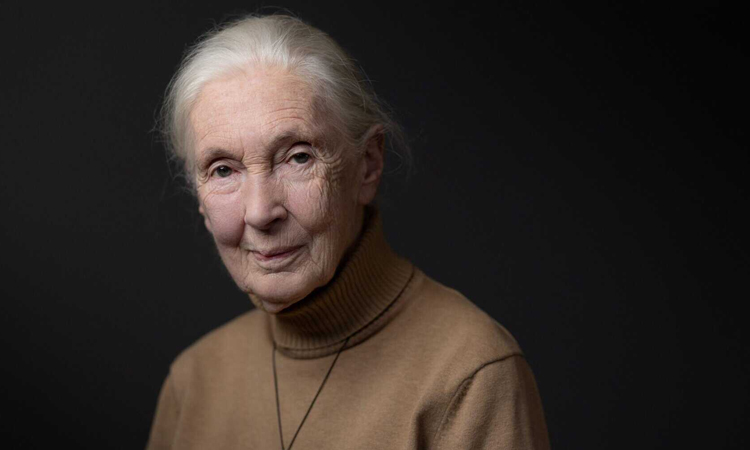Renowned British chimpanzee expert Jane Goodall dies at 91