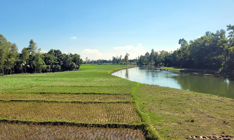 Locals demand revival of Baromasia River 