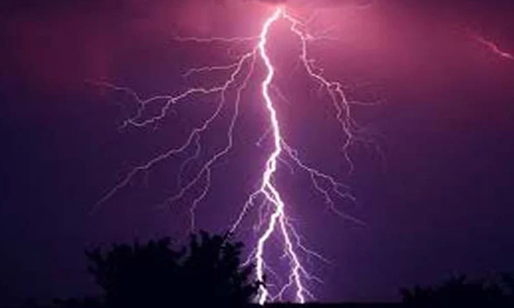 Lightning strike kills fisherman in Naogaon