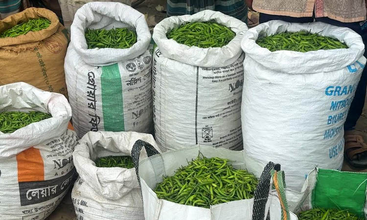 Raw chilies being sold at discount of Tk 100 per kg  | Others