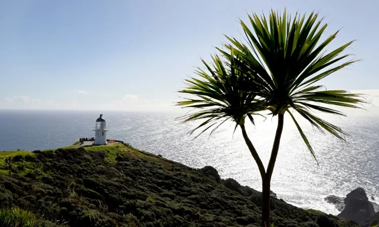 New Zealand's seas warming faster than global average: report
