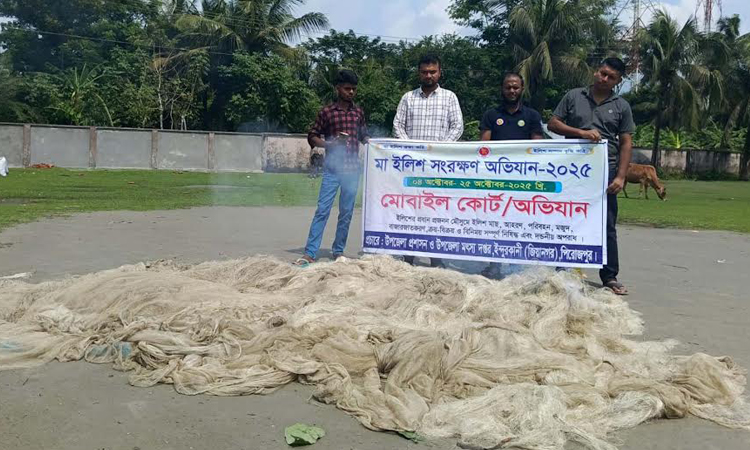 Banned hilsa catching nets recovered, destroyed in Pirojpur