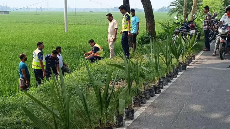 Police plant palm saplings in Jhenaidah to prevent lightning strikes
