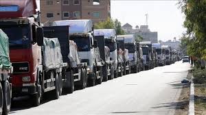 Egypt Red Crescent says 153 aid trucks cross Rafah border heading to Gaza