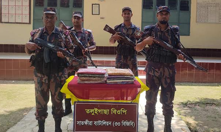 BGB seizes smuggled Indian sarees, medicines