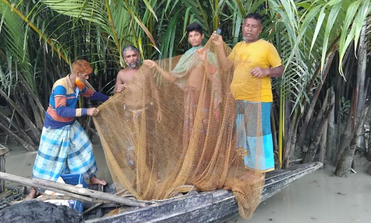4 fishermen held in Sundarbans; fish, nets, boats seized