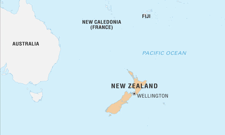 New Zealand accused of 'climate denial' over new methane targets