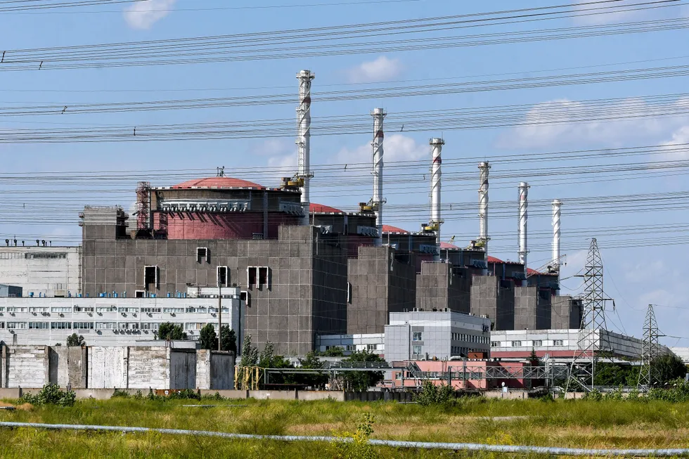 Work begins to repair Ukraine nuclear plant's power lines