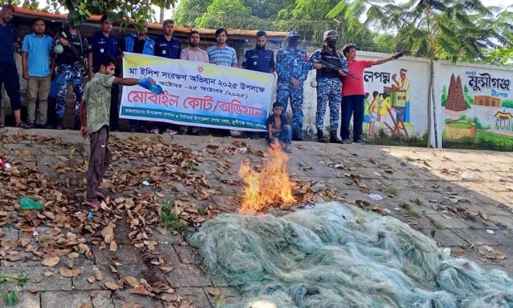Three fishermen jailed for illegally catching hilsa in Munshiganj