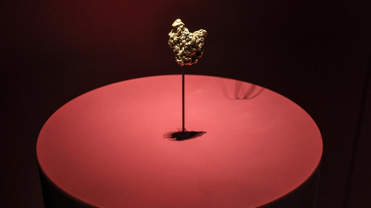Chinese woman charged over gold theft at Paris Natural History Museum