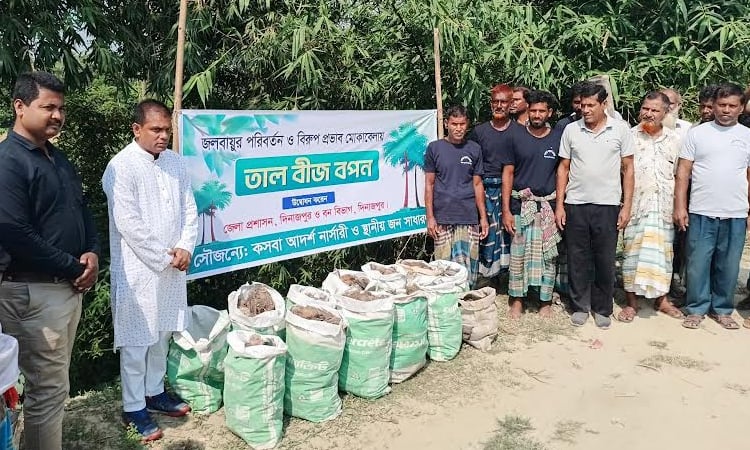 Palm tree planting in Dinajpur: A community-led effort to combat lightning