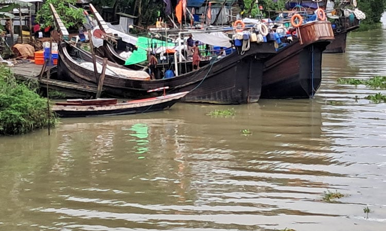 Fishermen return to Bay as 22-day hilsa ban ends tonight