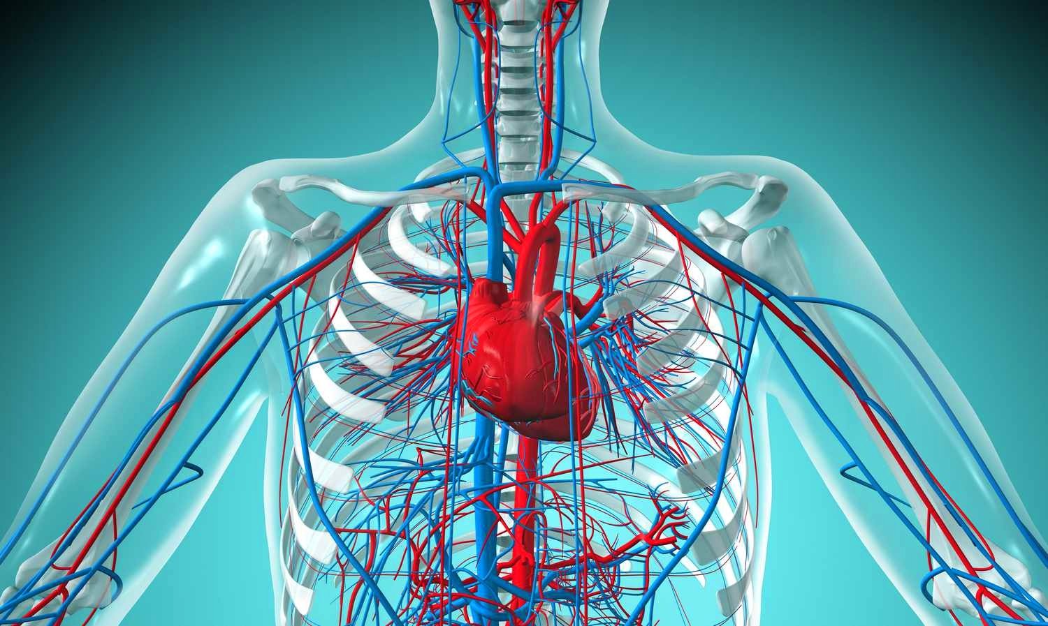 Researchers develop GaNF framework to boost cardiovascular treatment