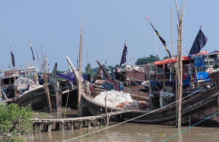 Hilsa fishing to resume from midnight today in Bagerhat