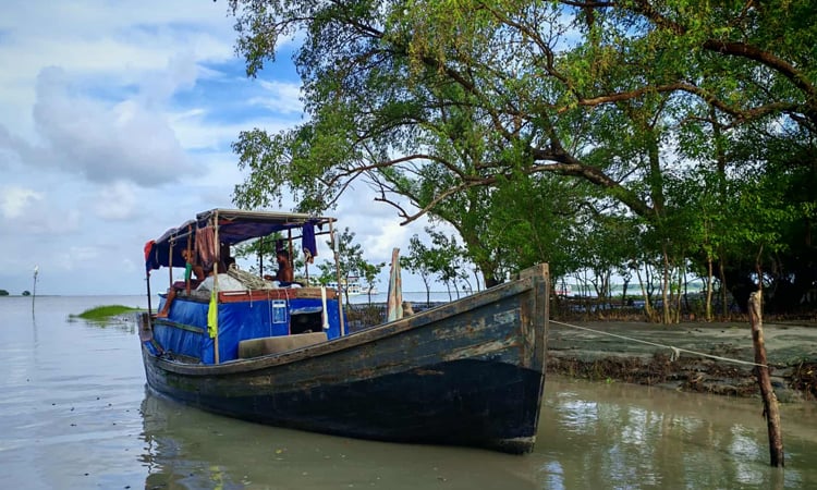Salt-tolerant farming, educational aid key to tackling coastal, urban poverty 