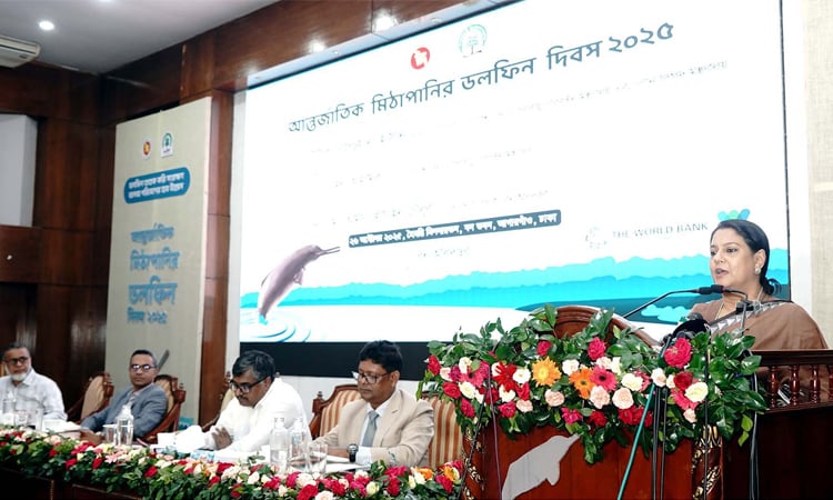 If dolphins survive, rivers, humans will too: Rizwana