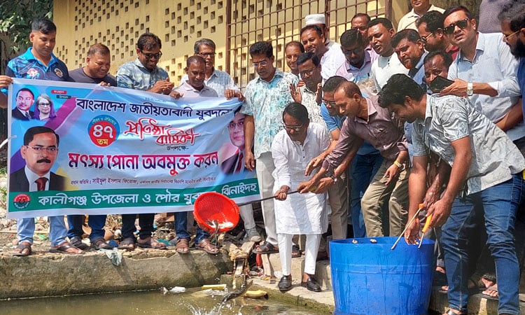 Fish fry released in Kaliganj marking Jubo Dal's founding anniversary