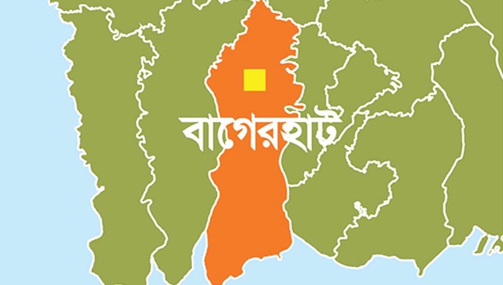 Freedom fighters accorded reception in Mollahat