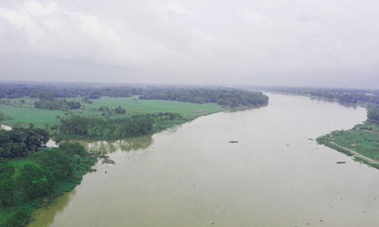 Dead Katla fish weighing 20 kg recovered from Halda River in Ctg