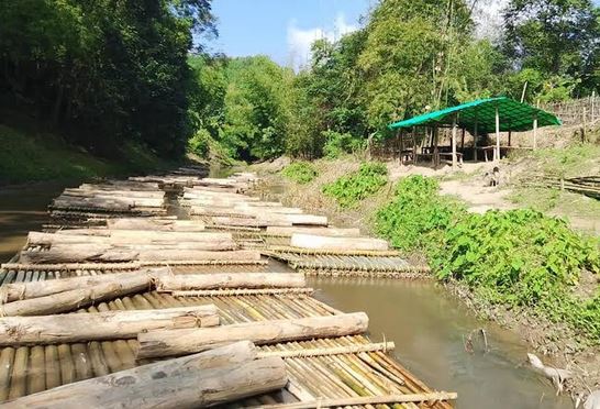 Army seizes 4,000 cubic feet of illegal timber in Khagrachhari