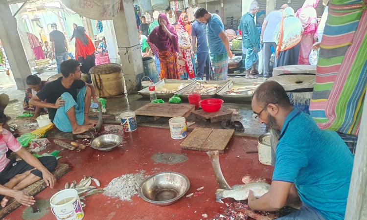 Fish scales business brings smile to Rustom, many in Khulna