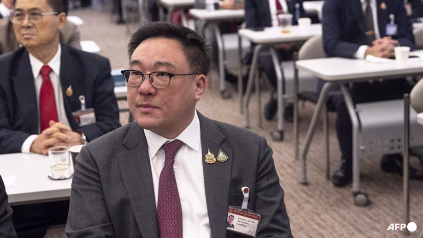 Thai ex-PM Thaksin's party elects new leader after daughter's exit