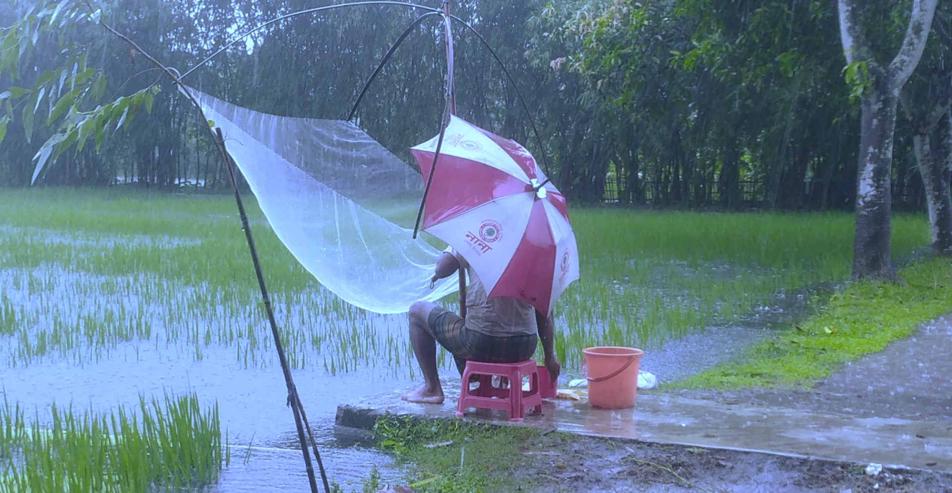 Continuous heavy rain in Panchagarh hints at drop in mercury level