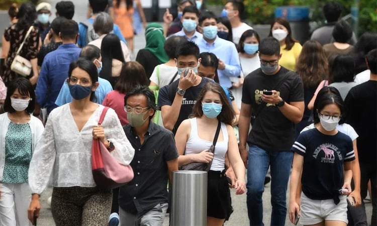 New UN report tackles 'inequality-pandemic cycle'