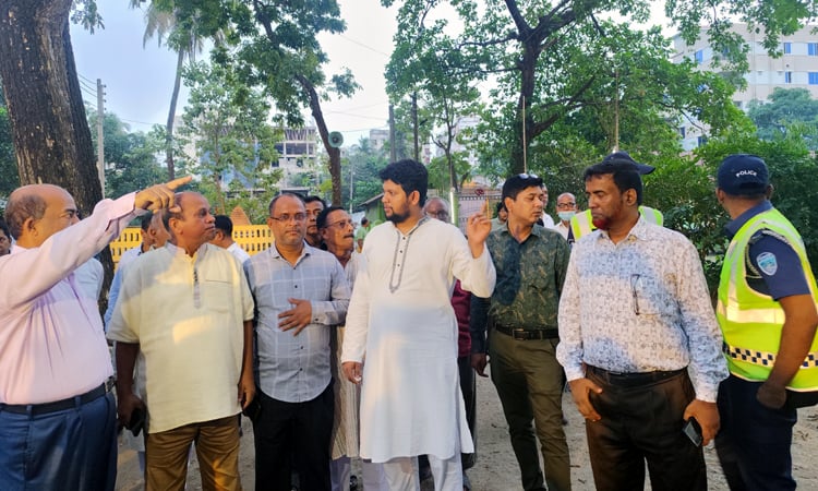 Cumilla’s Rammala Library needs digitization: Mahfuj