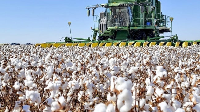 BGMEA, US cotton exporters discuss ways to boost cooperation in textile, apparel trade