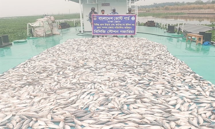 4,000 kg jatka seized in Munshiganj
