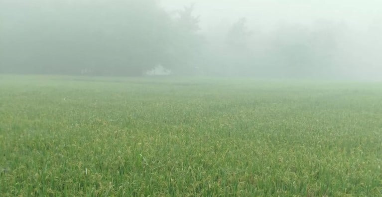 With advent of winter fogs cover country’s northern region