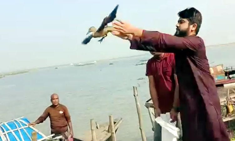 6 Bali-hash rescued, released into Naogaon forest