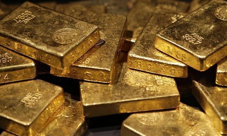 Frenchman discovers gold buried in garden
