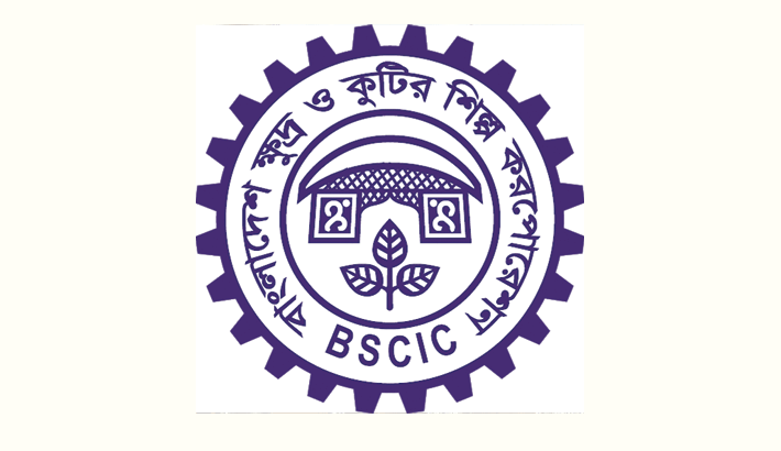 Women entrepreneurs thriving digital growth in Barishal