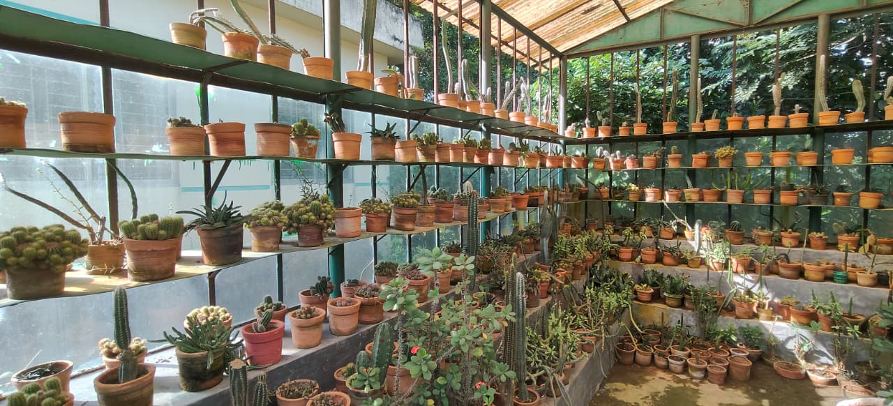 The botanical garden of Lalmai Hill -Photo: BSS