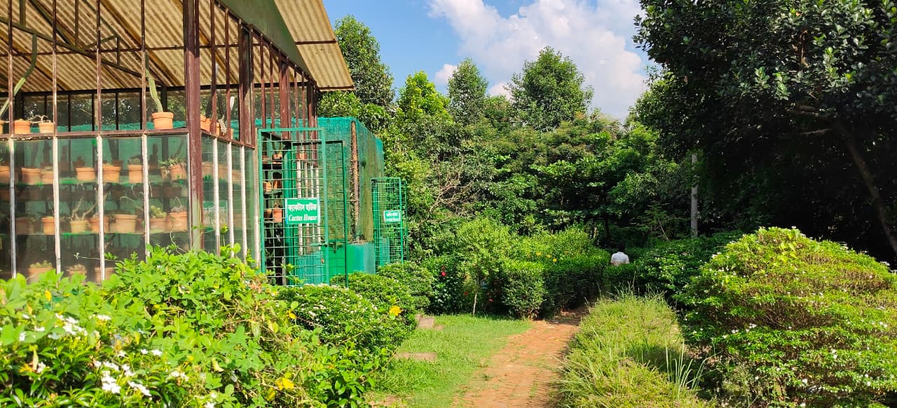 The botanical garden of Lalmai Hill -Photo: BSS
