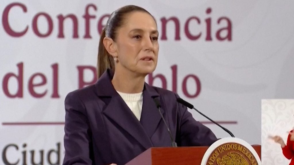 Mexican president moves to tackle sex abuse after shock groping