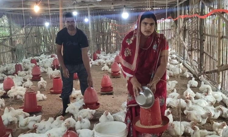 Digholia's poultry farmer Mizanur Rahman now an inspiration for others