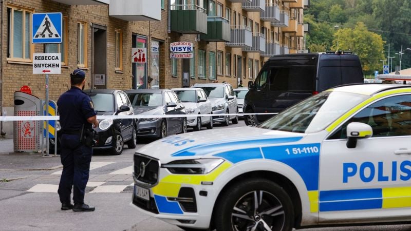 Sweden has over 17,000 gang criminals: police