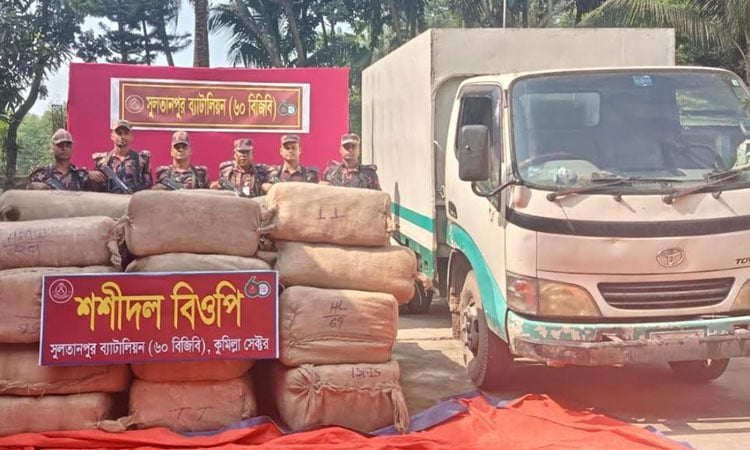 BGB seizes huge smuggled goods in Cumilla