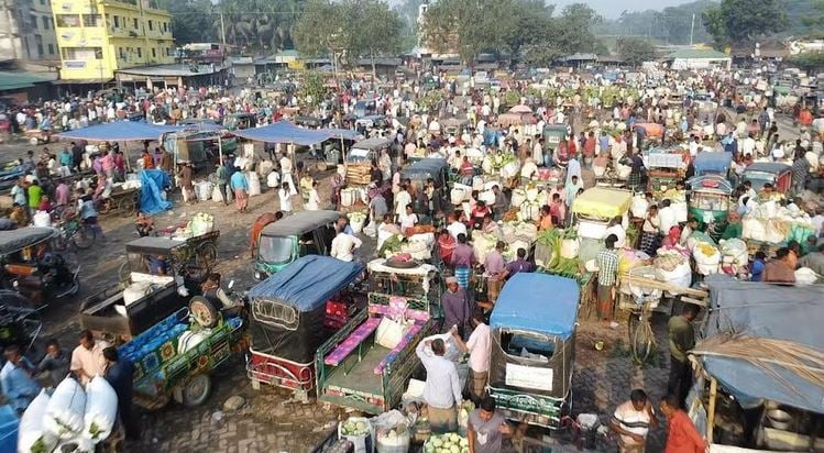 Ample supply of winter vegetables keeps price stable at wholesale market in Bogura