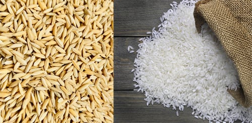 Govt to procure 7 lakh MTs rice, paddy